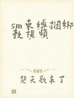 sm束缚捆绑调教视频