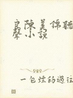 良陈美锦听书有声小说