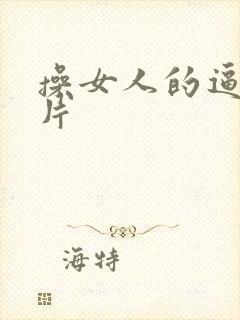 操女人的逼一级片