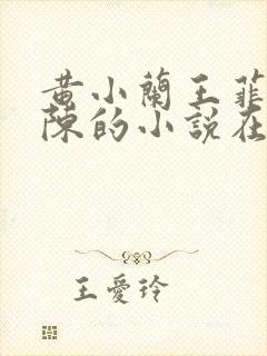 黄小兰王菲菲老陈的小说在线阅读