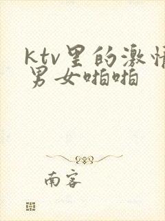 ktv里的激情男女啪啪