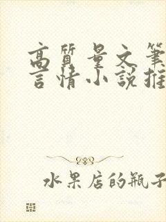 高质量文笔好的言情小说推荐封面