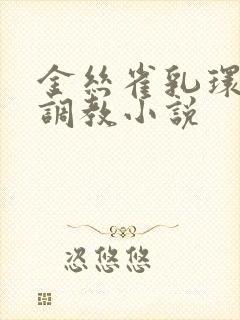 金丝雀乳环穿环调教小说封面