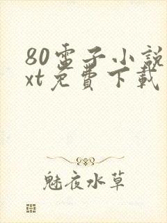 80电子小说txt免费下载封面