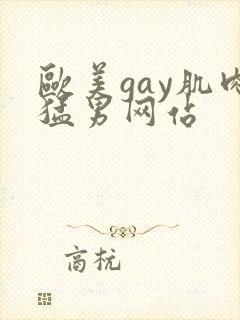 欧美gay肌肉猛男网站