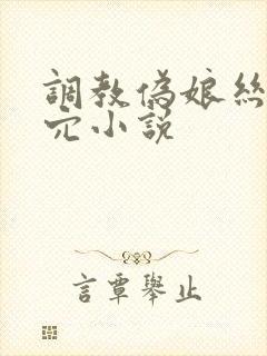 调教伪娘丝袜菊穴小说封面