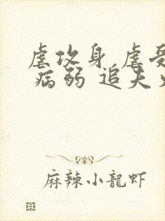 虐攻身 虐受心 病弱 追夫火葬场