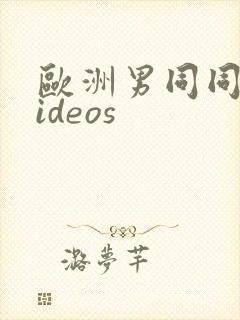 欧洲男同同性videos