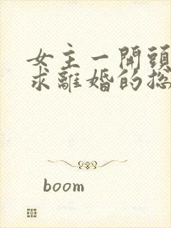 女主一开头就要求离婚的总裁文小说