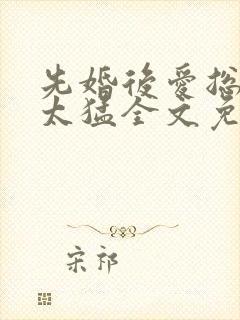 先婚后爱总裁别太猛全文免费阅读封面