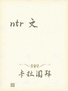 ntr 文封面