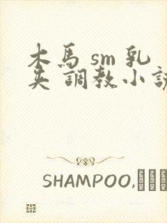 木马 sm 乳夹 调教小说