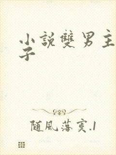 小说双男主生孩子