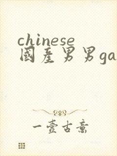 chinese国产男男gaygay网站