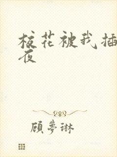 校花被我插了一夜