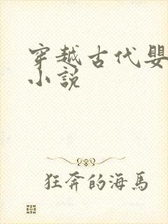 穿越古代婴儿的小说封面