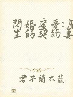 闪婚蜜爱:厉先生的契约妻