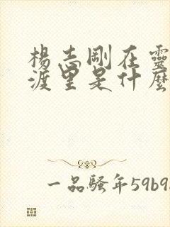 杨志刚在灵魂摆渡里是什么角色