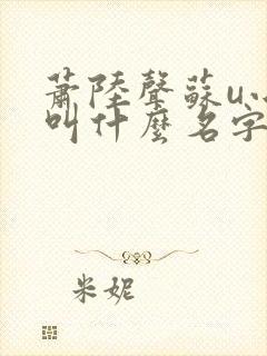 萧陆声苏u小说叫什么名字封面