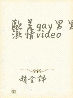 欧美gay男男激情video