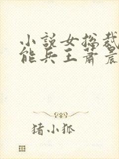 小说女总裁的全能兵王萧晨免费全文阅读