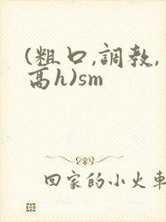 (粗口,调教,高h)sm