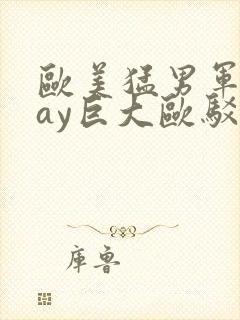 欧美猛男军人gay巨大欧驳封面