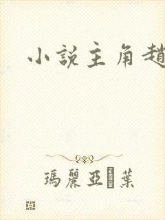 小说主角赵老实