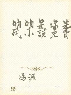 明明是你先不爱我小说免费阅读封面