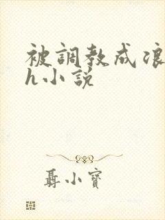 被调教成浪货高h小说