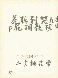 羞耻到哭h打烂p屁调教视频封面