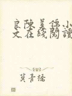 良陈美锦小说全文在线阅读