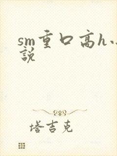 sm重口高h小说
