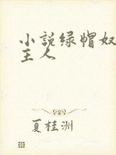 小说绿帽奴伺候主人封面