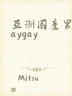 亚洲国产男同gaygay封面