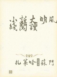 小说大明风华在线阅读