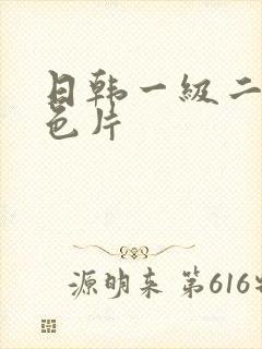 日韩一级二级黄色片