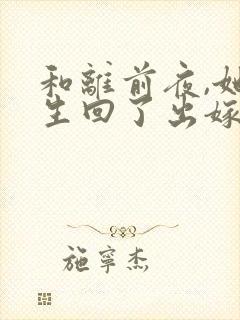 和离前夜,她重生回了出嫁前》封面