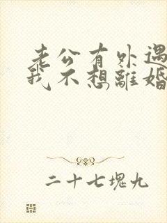 老公有外遇咋办我不想离婚封面