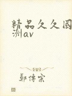 精品久久国产亚洲av封面