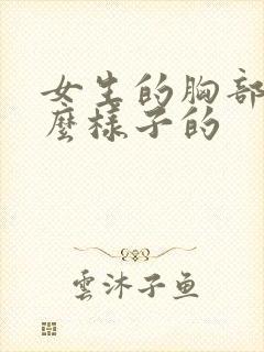 女生的胸部是什么样子的