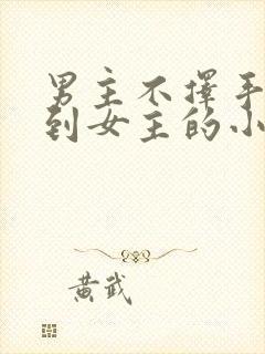 男主不择手段得到女主的小说