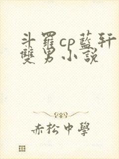 斗罗cp蓝轩宇双男小说