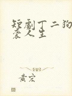 短剧丁二狗的逆袭人生封面