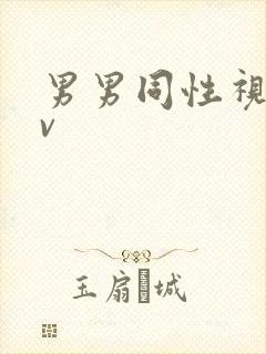 男男同性视频gv封面