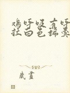 鸡呼吸有呼噜声拉白色稀粪