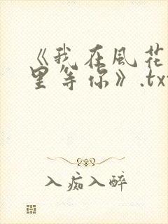 《我在风花雪月里等你》.txt封面