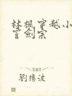 林枫穿越小说神霄剑宗