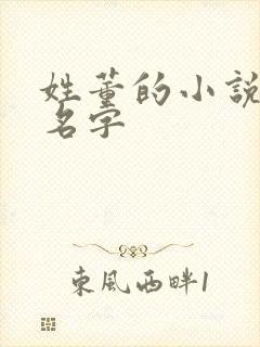 姓董的小说女主名字封面