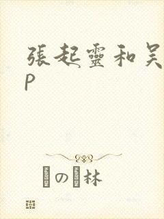 张起灵和吴邪cp